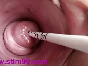 Chết tiệt phim xex n ...