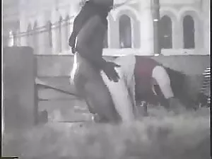 Nóng Rocco Điên phim ...