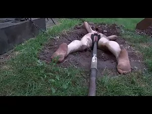 HD quan hệ tình dục  ...