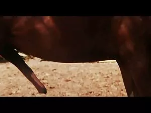 Béo, màu trắng, roos ...